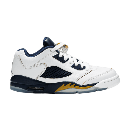 Jordan 5 Retro Low Dunk From Above (GS)