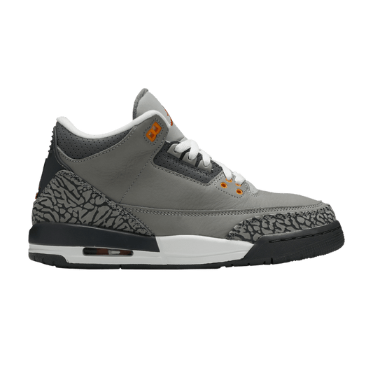 Jordan 3 Retro Cool Grey (2021) (GS)
